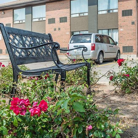 Comfort Inn Waterloo Dış mekan fotoğraf