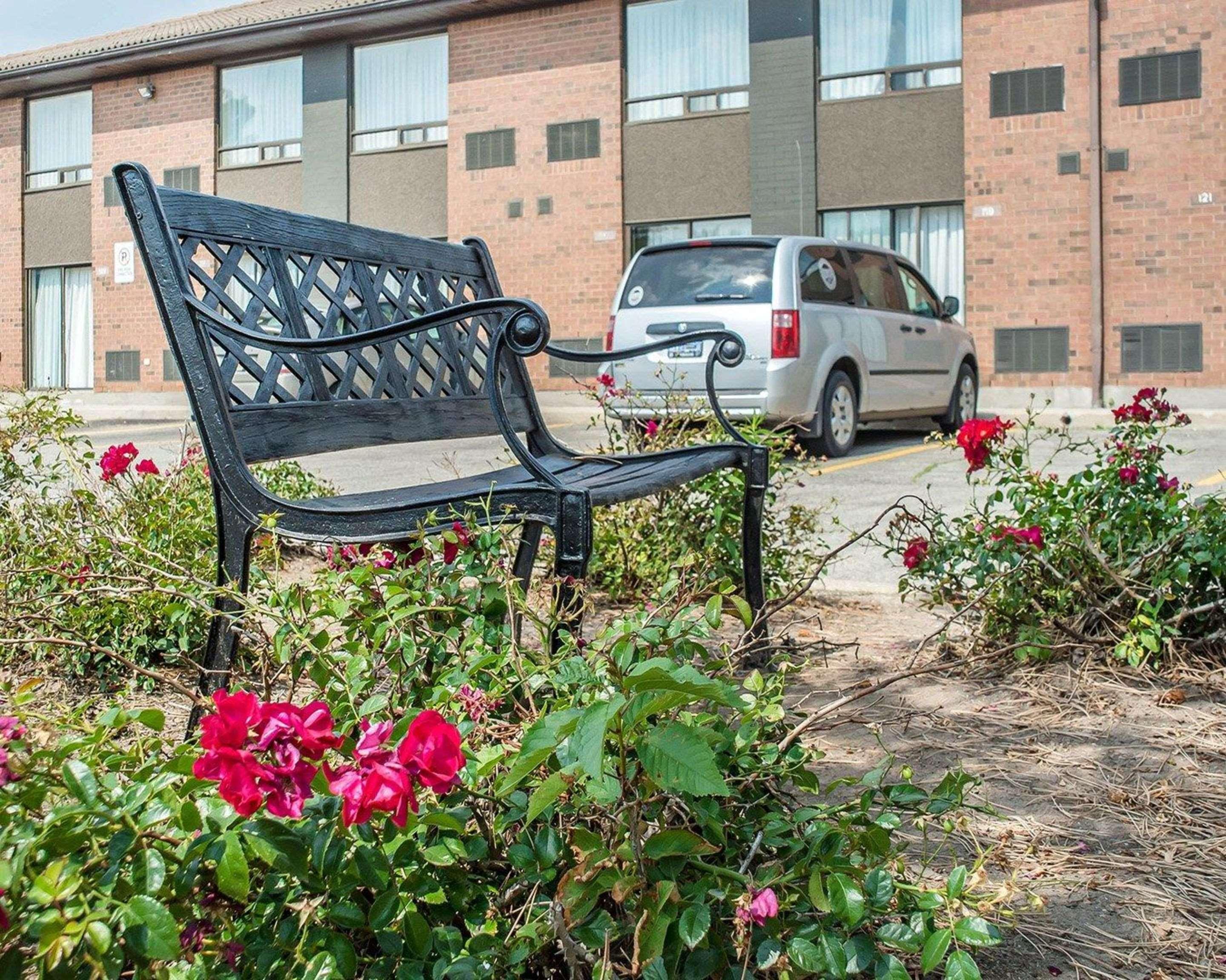 Comfort Inn Waterloo Dış mekan fotoğraf